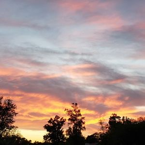 Meet your Posher, Pattie